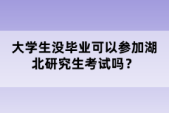 大學(xué)生沒(méi)畢業(yè)可以參加湖北研究生考試嗎？