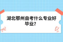 湖北鄂州自考什么專業(yè)好畢業(yè)？