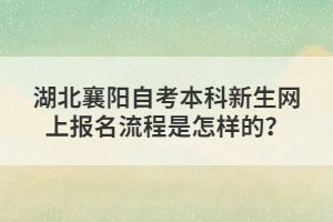 湖北襄陽(yáng)自考本科新生網(wǎng)上報(bào)名流程是怎樣的？